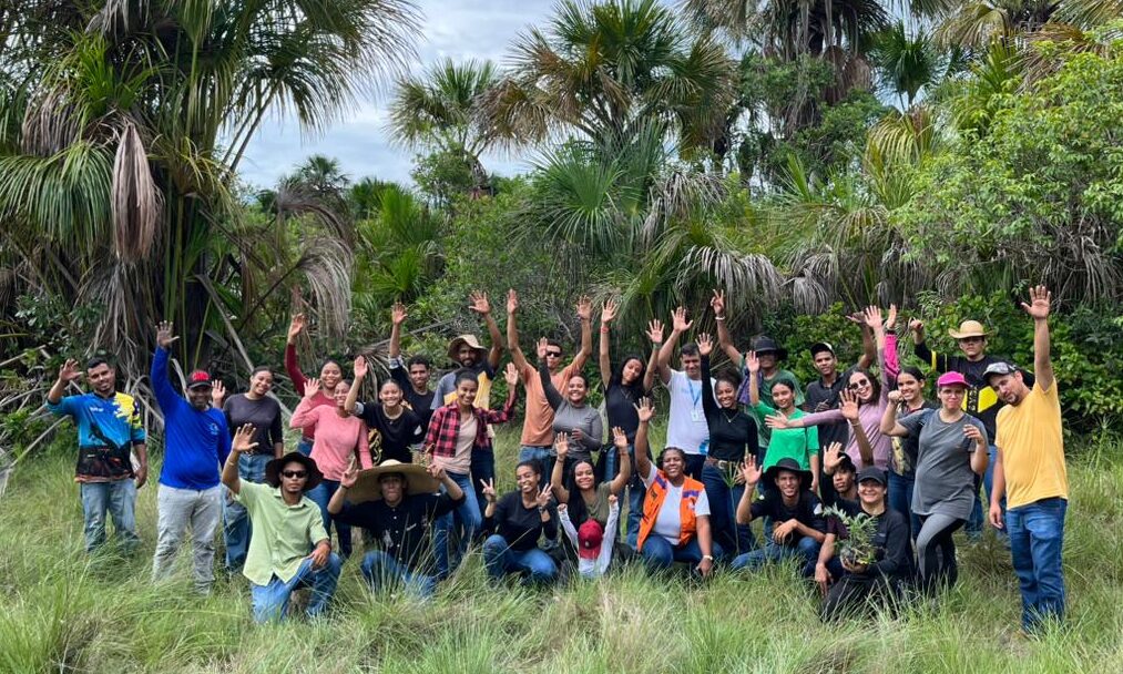 🌱 RECUPERAÇÃO DE NASCENTE 🌳